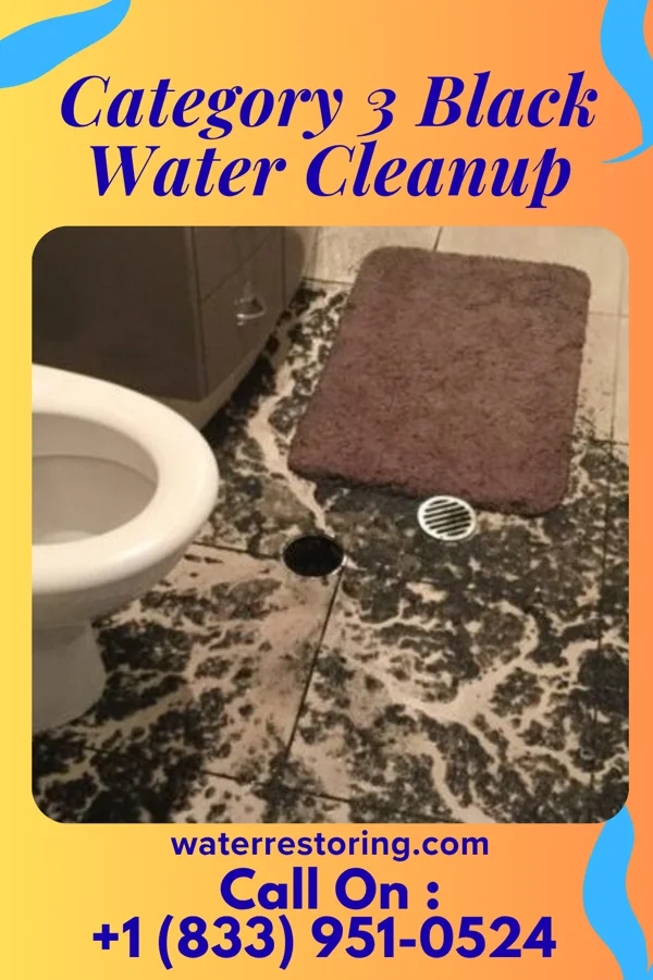 Category 3 Black Water Cleanup in Union, IA