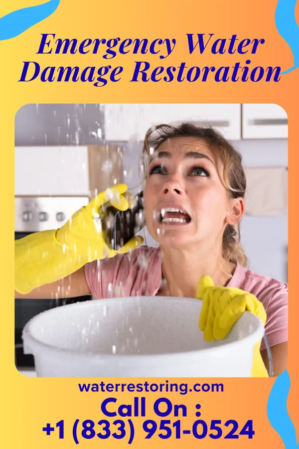 Emergency Water Damage Restoration in Union, IA