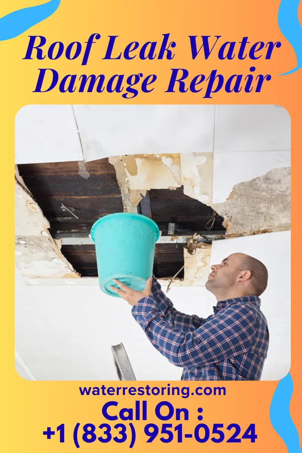 Roof Leak Water Damage Repair in Union, IA